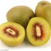 Kiwi - Actinidia Deliciosa Kiwi Wonder -Des Graines De Plantes Actinidia deliciosa Wonder 84702 1