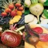 Collection De 4 Betteraves Colorées Bio -Des Graines De Plantes Collection de 4 betteraves color es bio 70008 1