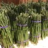 Asperge Verte Rambo - Asparagus Officinalis -Des Graines De Plantes asparagus officinalis rambo 16300 1