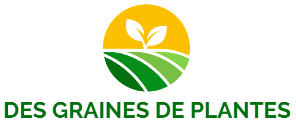 Des Graines De Plantes